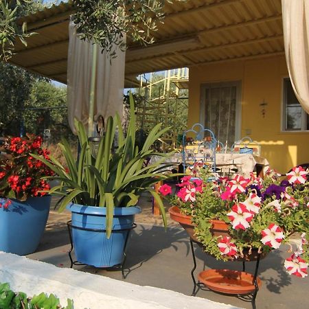 הוילה Skála Kallirákhis Joanna'S House מראה חיצוני תמונה