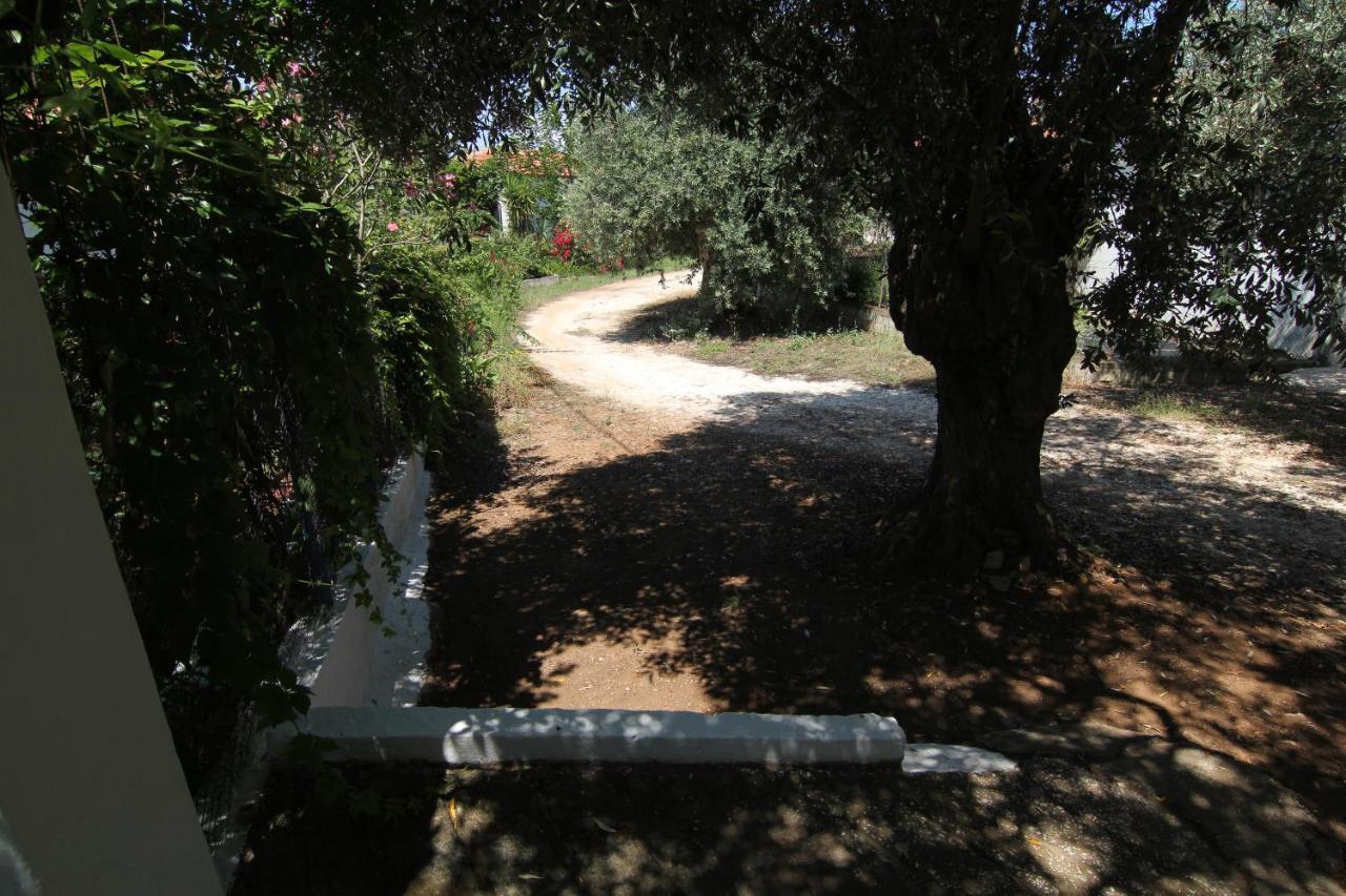 הוילה Skála Kallirákhis Joanna'S House מראה חיצוני תמונה