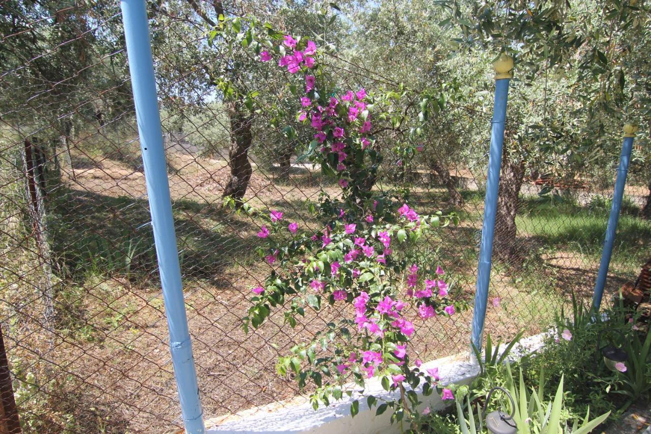 הוילה Skála Kallirákhis Joanna'S House מראה חיצוני תמונה